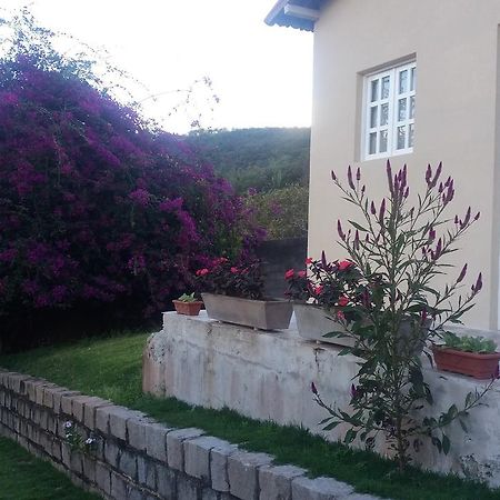 Refugio Na Serra Bananeiras Extérieur photo